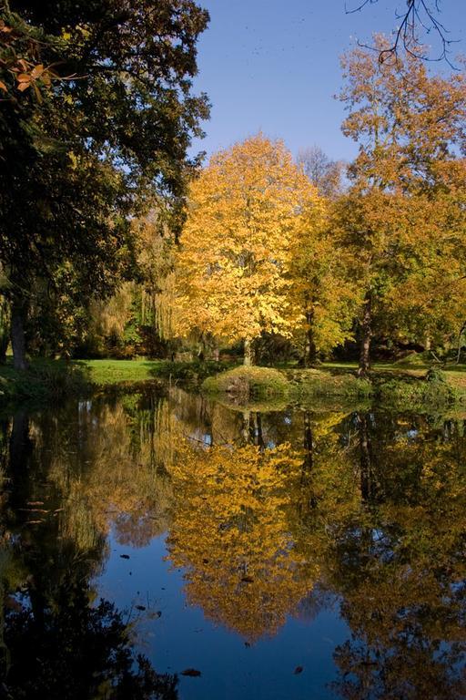 Manoir Du Plessix Meen Pluduno Zewnętrze zdjęcie